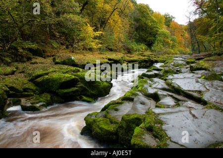 L 'hotel Astrid, una caratteristica del Fiume Wharfe nel North Yorkshire Foto Stock