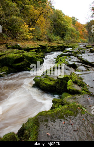 L 'hotel Astrid, una caratteristica del Fiume Wharfe nel North Yorkshire Foto Stock