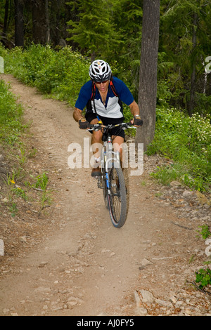 Nick in mountain bike verso il basso la parte posteriore del Baldy Mtns esteso sistema di pista nella Sun Valley Idaho Modello rilasciato Foto Stock