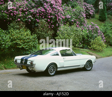 1966 Ford Mustang Shelby GT350 Foto Stock