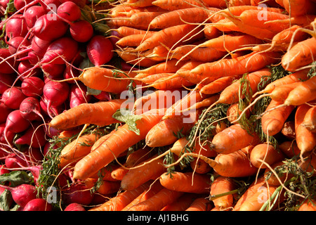 Le carote e barbabietole Foto Stock