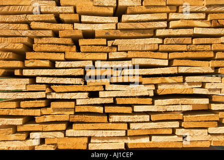 Tagliare legname lastra trave di bordo doga ripiano foresta di alberi di silvicoltura snag moncone stub pack pila pila batch stabilisce Foto Stock