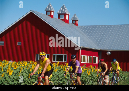 Ohio Greene County, Yellow Springs, Little Miami Scenic Trail bikers, bicicletta, bicicletta, equitazione, ciclismo, motociclista, biciclette, ciclismo, pass Young's Jersey Dairy, agricoltura Foto Stock