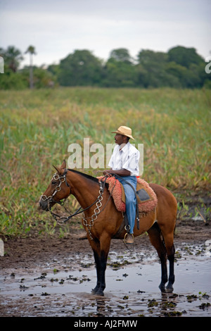 Pantanal tradizionali Cowboys, Peao Pantaneiro, al maso e la Fauna lodge Pousada Xaraes impostato nell'UNESCO Pantanal Foto Stock