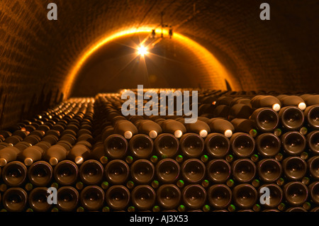 Bottiglie di Champagne impilati in un sotterraneo cantina a volta chiusa con argento e verde di tappi a corona di capsule in totale 129956 bottiglie di Champagne Deutz in Ay, Vallée de la Marne, Champagne, Marne, Ardenne, Francia Foto Stock