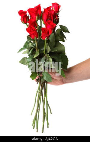 Mano che tiene una dozzina di gambo lungo rose rosse Foto Stock