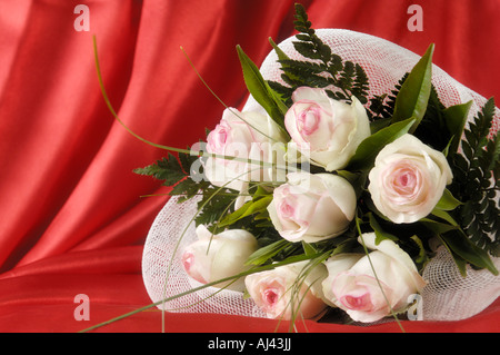 Mazzo di rose bianche su sfondo rosso Foto Stock