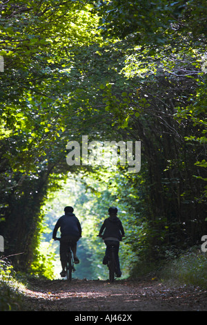 Due off road ciclista corsa lungo il viale alberato bridleway sulla Harley giù, Dorset Foto Stock