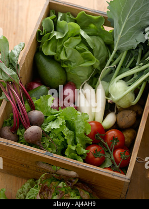 Scatola di legno di verdure miste - fascia alta Hasselblad 61mb di immagine digitale Foto Stock