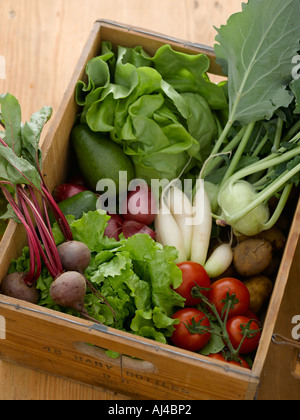 Scatola di ortaggi - high end Hasselblad 61mb di immagine digitale Foto Stock