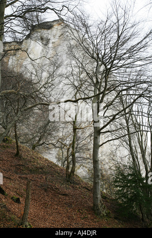 Chalk rock Koenigsstuhl in inverno Germania Ruegen NP Jasmund Foto Stock