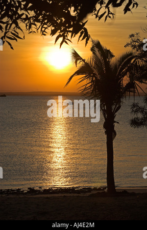 Spiaggia a Ibo Island Isole Quirimbas, Mozambico, Africa Foto Stock