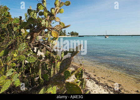 Spiaggia di Ibo Island, Quirimbas arcipelago, Mozambico Africa Foto Stock