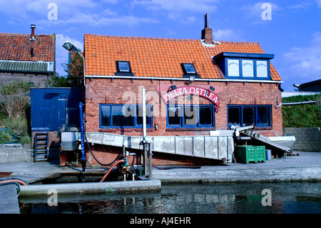 Paesi Bassi Zeeland Sealand Yerseke Oyster Cultura Mitilo Ostriche di pesca dei mitili Agricoltura Port Foto Stock