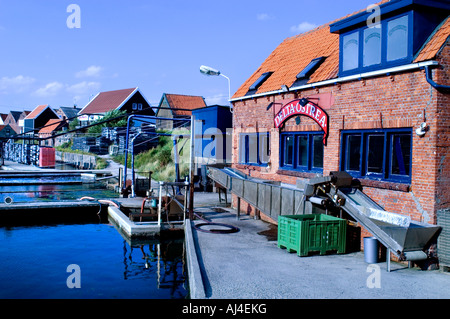 Paesi Bassi Zeeland Sealand Yerseke Oyster Cultura Mitilo Ostriche di pesca dei mitili Agricoltura Port Foto Stock