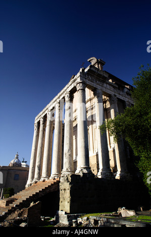 Portico di TheTemple di Antonino e Faustina, Foro Romano, Roma Foto Stock