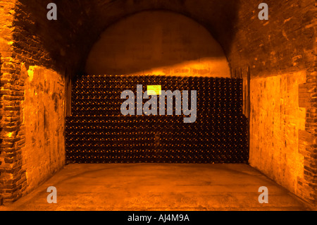 Nella cantina sotterranea che è una vecchia cava di gesso: migliaia (4047) di bottiglie invecchiamento in sotto una vault, Champagne Ruinart, Reims, Champagne, Marne, Ardenne, Francia, bassa luce grano sgranate Foto Stock