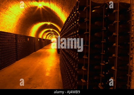 Nella cantina sotterranea che è una vecchia cava di gesso: migliaia e milioni di bottiglie di invecchiamento, Champagne Ruinart, Reims, Champagne, Marne, Ardenne, Francia, bassa luce grano sgranate Foto Stock