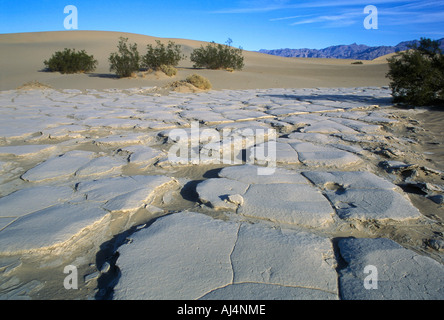 Mesquite Flat dune di sabbia, il Parco Nazionale della Valle della Morte. Foto Stock
