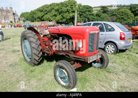 David Brown 900 classic il trattore durante la vendemmia il trattore al rally Glenarm Castle open day County Antrim Irlanda del Nord Foto Stock