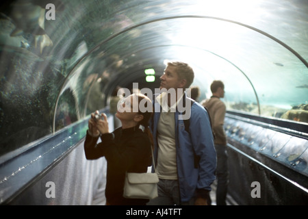 Le persone nella visione subacquea tunnel guardando gli squali e di altri pesci di acquario di Sydney Darling Harbour New South Wales NSW Aus Foto Stock