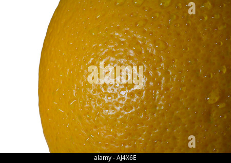 Citrus sinensis arancio Closeup di peel contro uno sfondo bianco Foto Stock