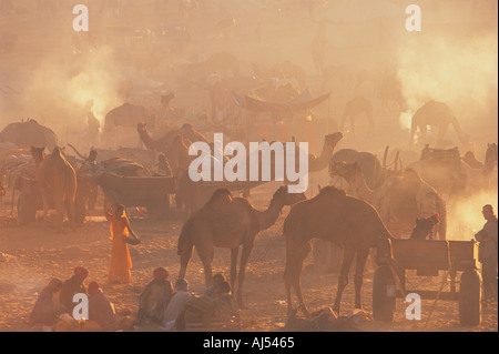 Camel Fair Pushkar Rajasthan in India Foto Stock