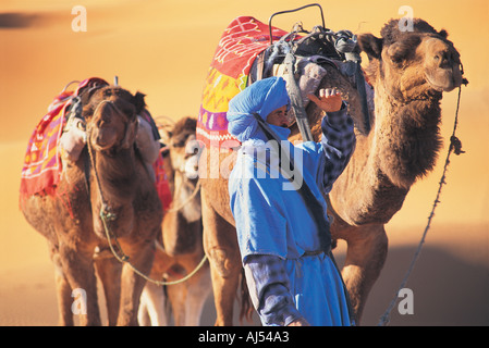 Driver del cammello Merzouga Marocco Foto Stock