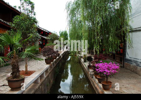 Strada tranquilla di Lijiang, nella provincia dello Yunnan in Cina Foto Stock