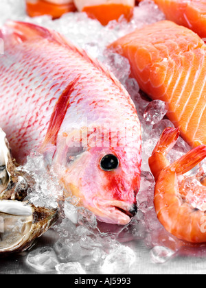 Pesce fresco su ghiaccio Foto Stock