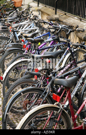 Biciclette parcheggiate in una fila, Clare College, Università di Cambridge Foto Stock