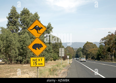 Canguri e koala avvertenza cartello stradale nelle Blue Mountains del Nuovo Galles del Sud Australia NSW Foto Stock