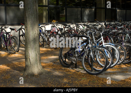 Le biciclette al di fuori di un edificio Foto Stock