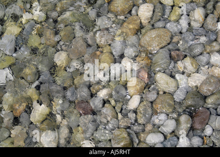 Poco pietre in mare Foto Stock