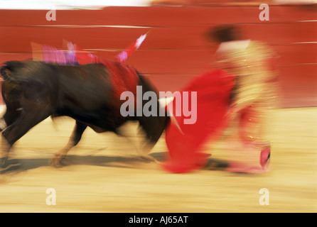 Bull attaccando red cape e matador durante la corrida Foto Stock