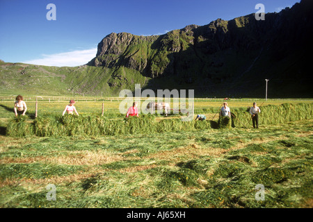 Family in Lofoten Islands off Northern Norway during summer harvest season Foto Stock