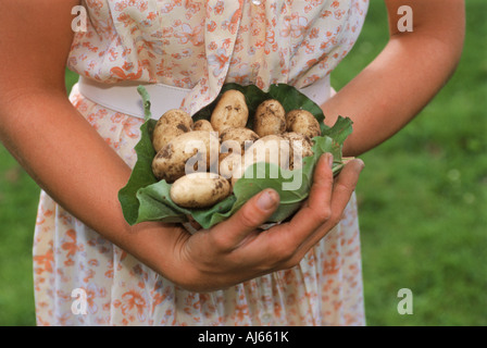 Donna che mantiene Patate fresche prelevato dal giardino di casa Foto Stock