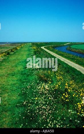 Peter Scott camminare accanto al lavare Lincolnshire Inghilterra Foto Stock