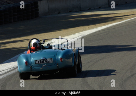 Lawrence Bowman gare il suo 1964 Cobra FIA in occasione della trentaduesima Rolex Monterey Historic gare automobilistiche 2005 Foto Stock