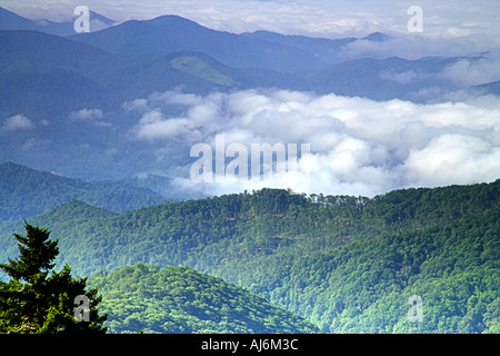 Nuvole nella valle del Smokey Mountains Georgia USA Foto Stock