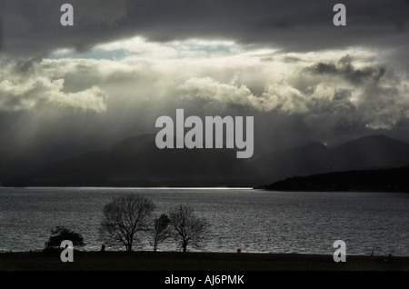 Alberi stagliano contro la tempesta luce su un loch linnhe in Scozia Foto Stock