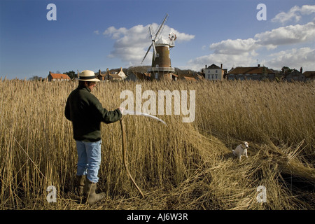 Mulino a vento di Cley e paludi con taglio di canna in corso La costa nord di Norfolk in Inverno Regno Unito Foto Stock