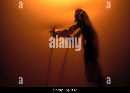 Wayang Kulit shadow puppet giocare in Indonesia Asia del sud-est di Proprietà immagine rilasciata Foto Stock