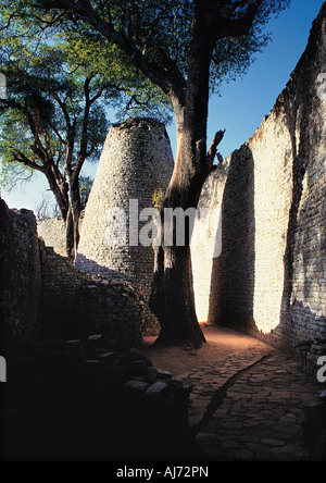 Torre conica e la parete a Grande Zimbabwe rovine Masvingo Zimbabwe Foto Stock