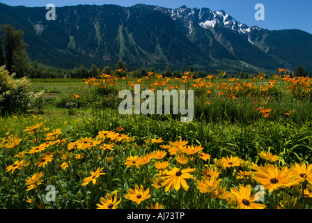 Mt. Currie in Pemberton, BC, Canada Foto Stock