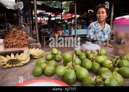 Maket titolare di stallo per la vendita di frutta a Pakbeng sul fiume Mekong nella Loa tra Luang Prabang e Huay Xai Foto Stock