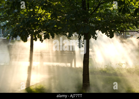 Canada Quebec Montreal foschia mattutina di filtraggio della luce attraverso gli alberi nel parco vicino Jean Paul Riopelle la scultura Foto Stock