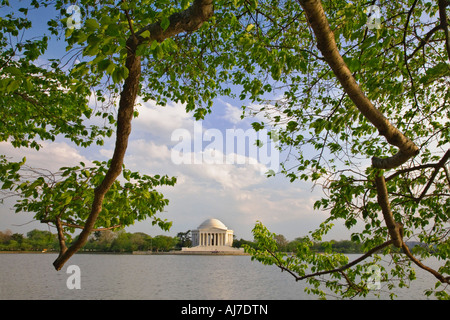 Vista del Thomas Jefferson Memorial da tutto il bacino di marea a Washington D C. Foto Stock