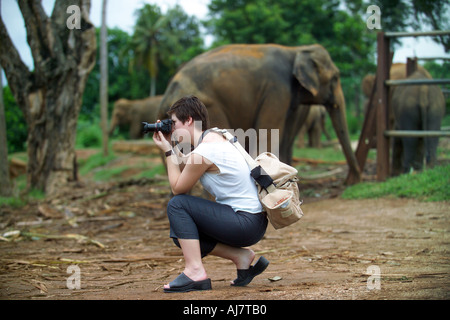 Fotografo in Orfanotrofio degli Elefanti di Pinnawela, Sri Lanka, Asia Foto Stock