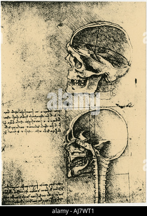 Schizzo anatomico; due studi di un teschio umano, c1489. Artista: Leonardo da Vinci Foto Stock